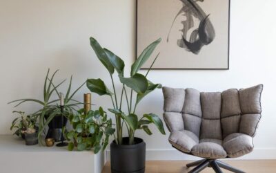 Groen in je interieur. Inspiratie en tips van een interieurstylist!